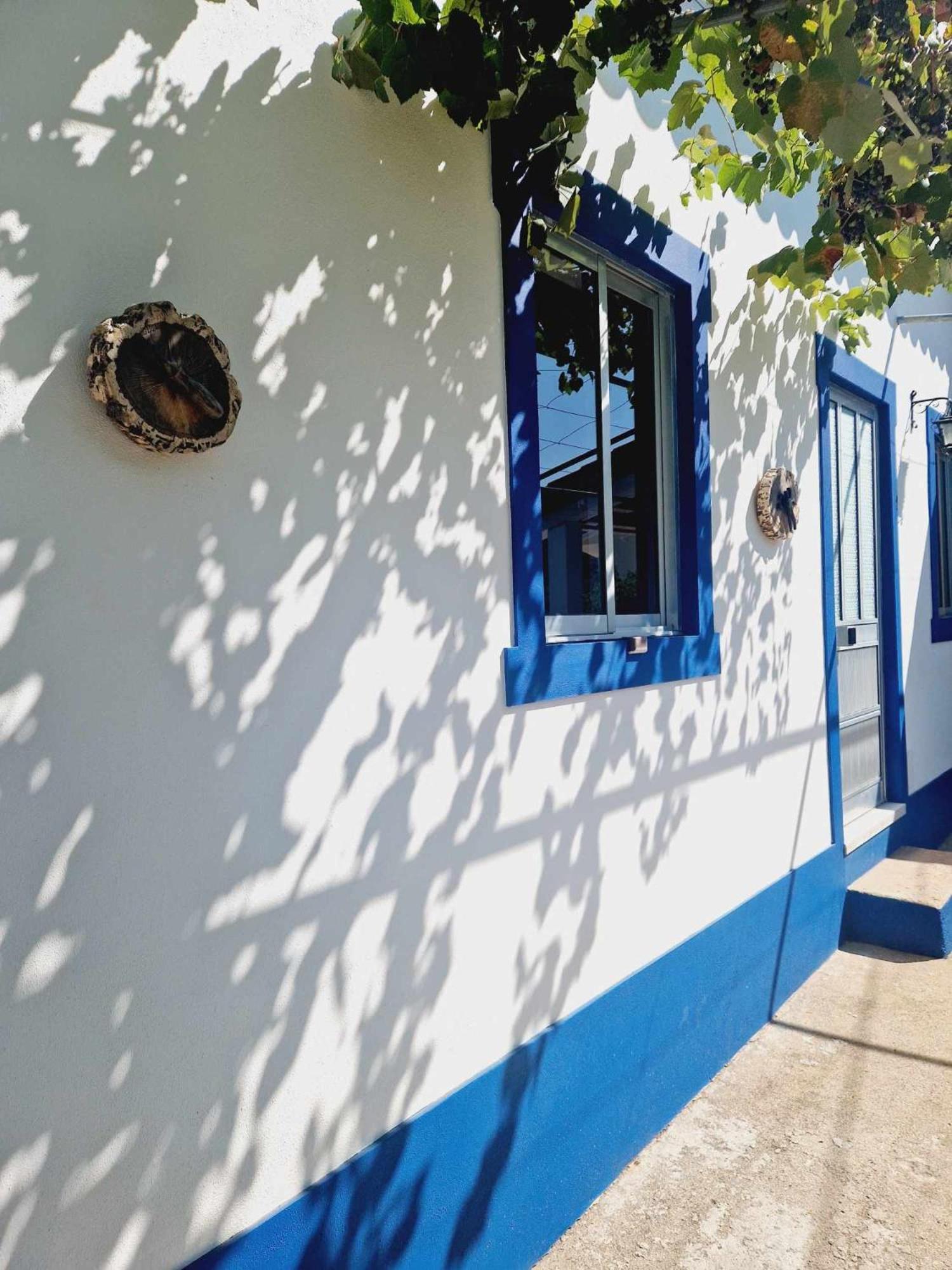فيلا Casa Dos Martelitos Salgueira  المظهر الخارجي الصورة